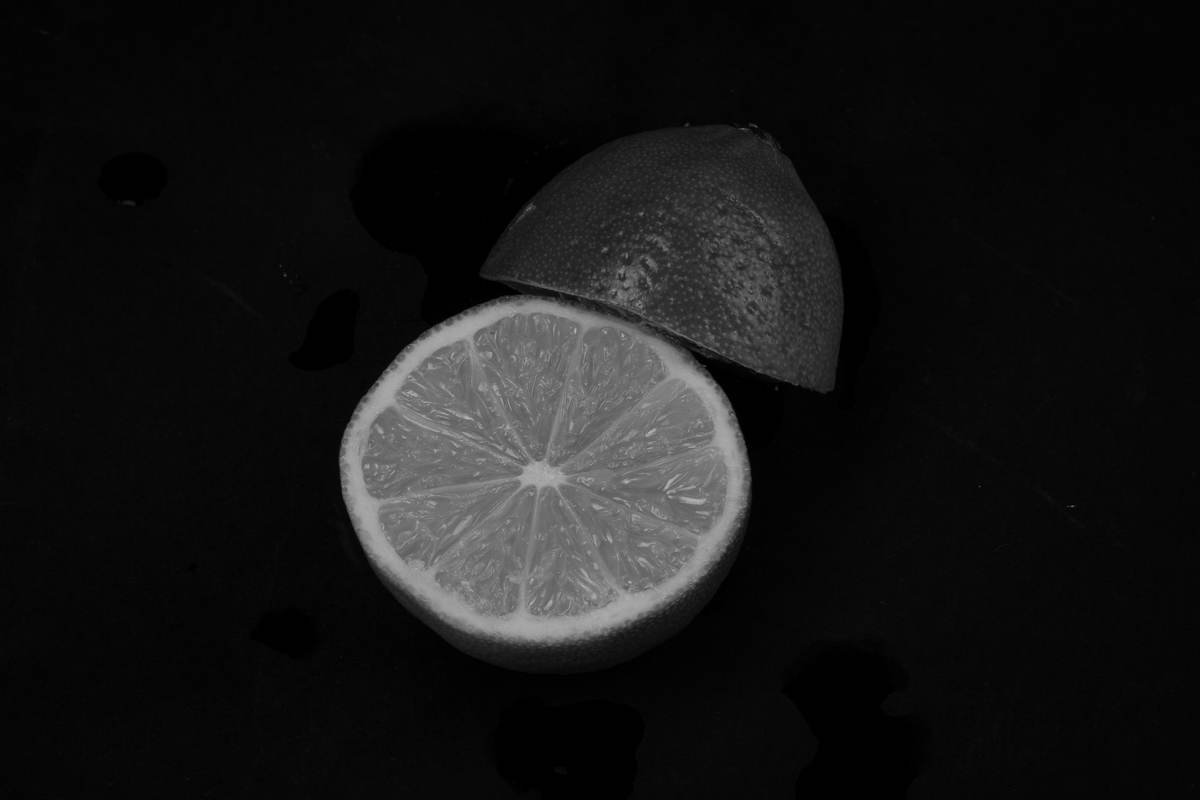 Macro Photography — Image 2