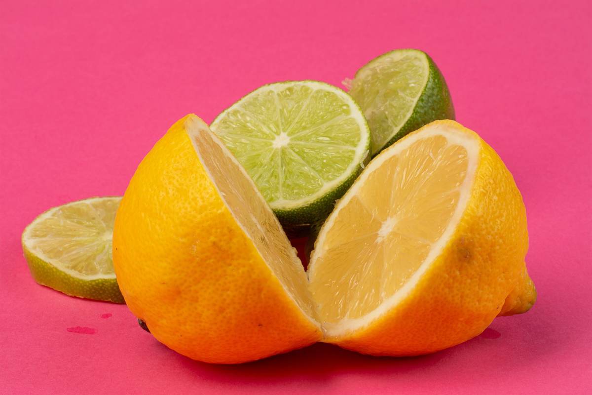 Macro Photography — Image 4