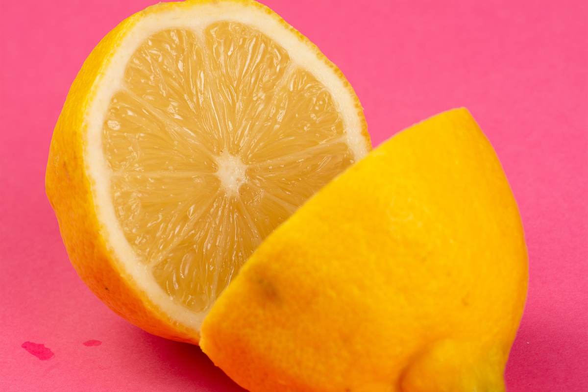 Macro Photography — Image 5