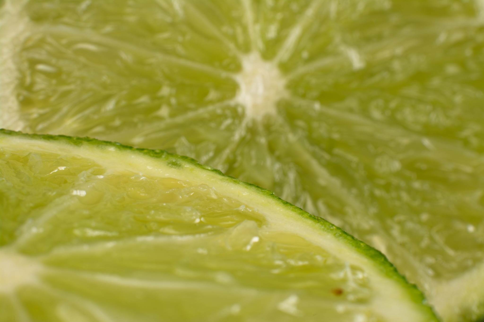 Macro Photography